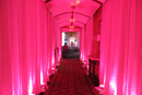 boston's best LED lighting